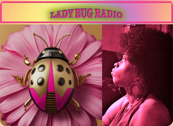ladybugradio.org